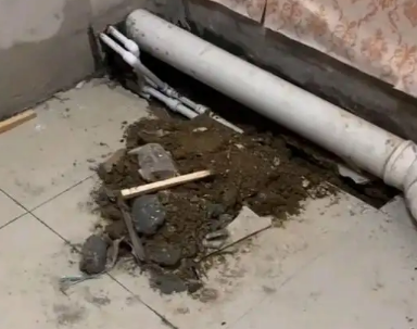 带岭卫生间漏水检测哪家好