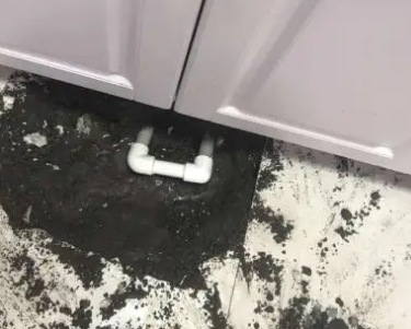 带岭查漏水哪家好